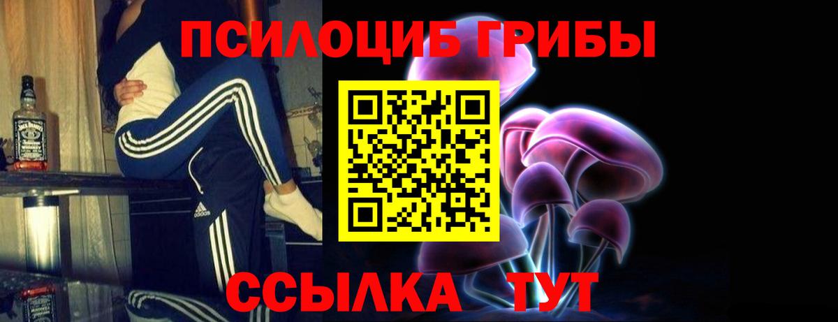 Галлюциногенные грибы Psilocybine cubensis Бердск