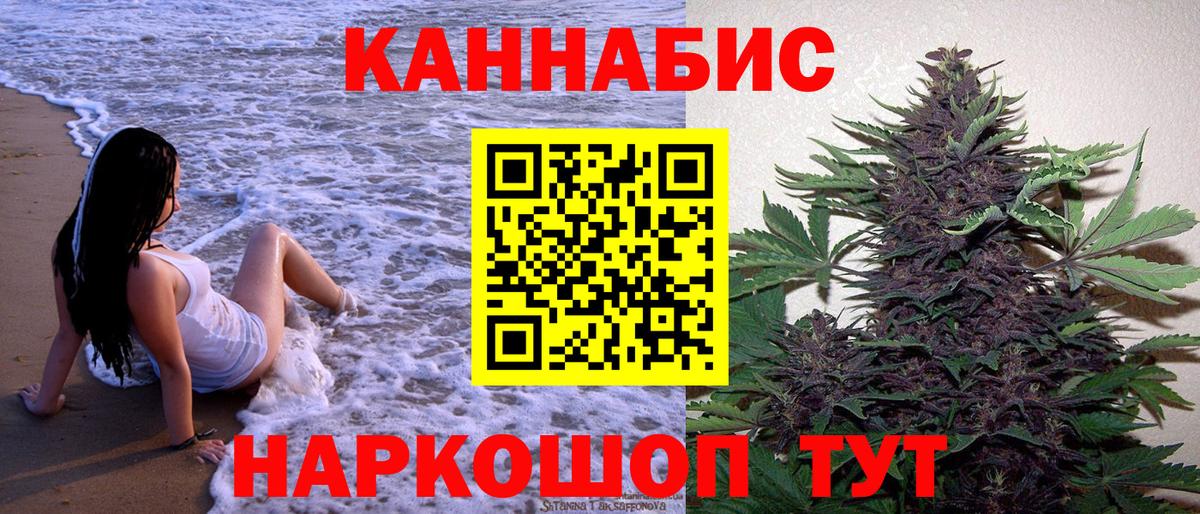 Бошки марихуана конопля Бердск